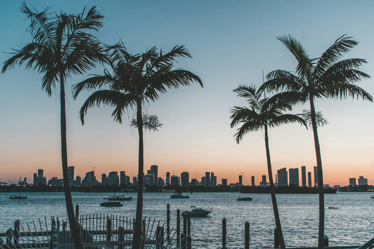 Palm trees silhouetted against a Florida sunset